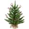 24" Unlit Real Touch™ Sarasota Pine Mini Artificial Christmas Tree in Burlap Base